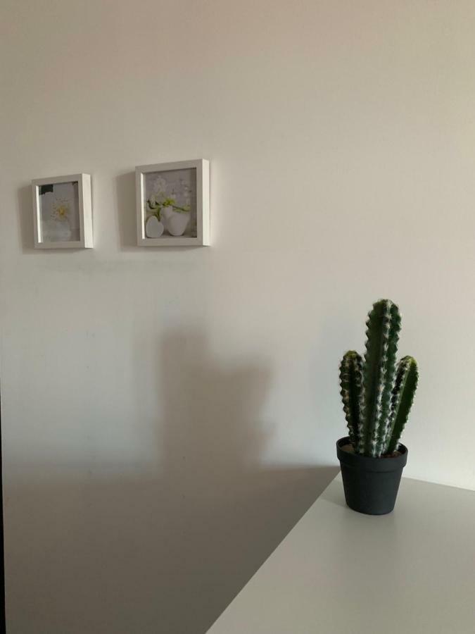 Beau T4 Hyper Centre Avec Parking Apartment Perpignan Bagian luar foto